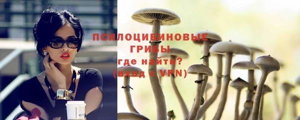 метадон Арсеньев